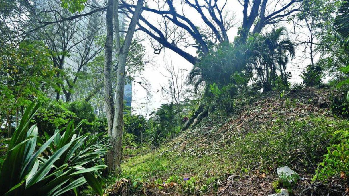 Pocos se atreverían a creer que en la Capital Industrial de Honduras, en medio de lo que ahora es una importante zona residencial que aloja tres de las torres más altas de la urbe donde otras dos están en construcción, haya un sitio arqueológico más antiguo que casi todo lo que hoy está en pie en esta ciudad. 