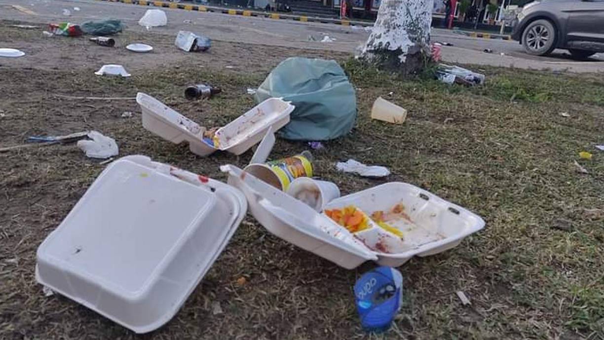 Estos residuos plástico pueden llegan al mar y ser ingeridos por la fauna marina.