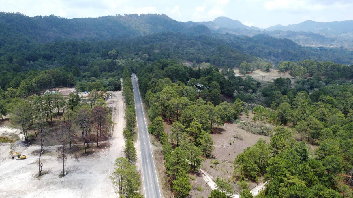 <b>Pese a ser una reserva, El Guisayote también sufre por la deforestación e incendios forestales. Algunas zonas son arrasadas para cultivos. En verano, la característica frescura del lugar desaparece debido a la innegable pérdida de cobertura forestal.</b>