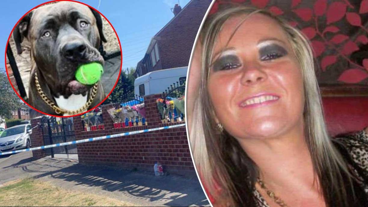 Joanne Robinson fue salvajemente asesinada por su propio perro de dos años y medio llamado Rocco en su casa en West Melton, cerca de Rotherham, South Yorkshire, Reino Unido.