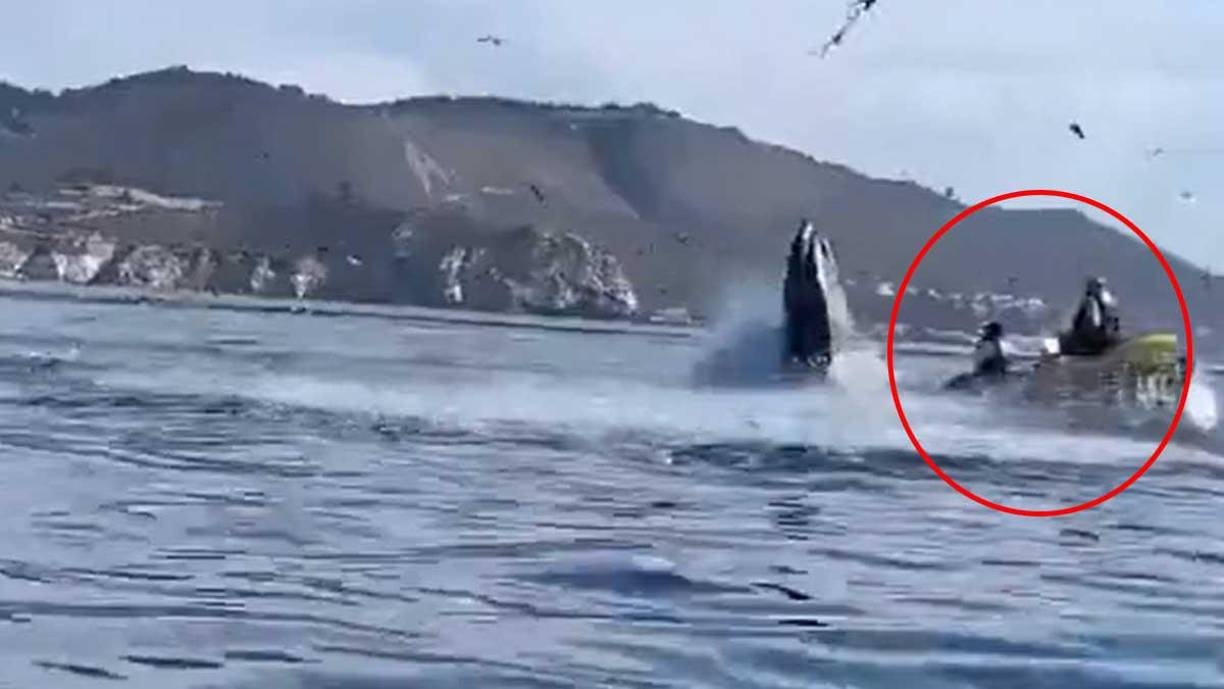 El momento en que una ballena jorobada se tragó a dos mujeres fue grabado por una persona que las estaba filmando en la costa de California, Estados Unidos.