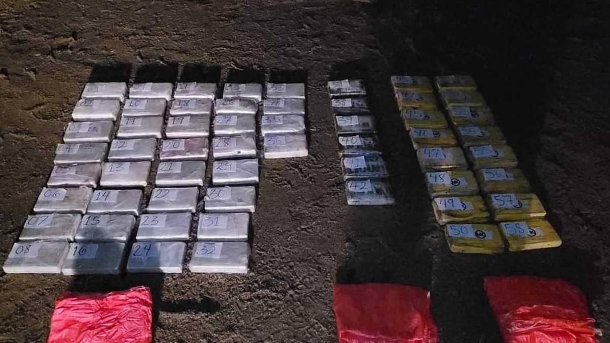 Hasta ahora las autoridades han encontrado cultivos de hoja de coca en Olancho, Colón, Yoro, Gracias a Dios, El Paraíso y Cortés, en el norte, Caribe y este de Honduras.