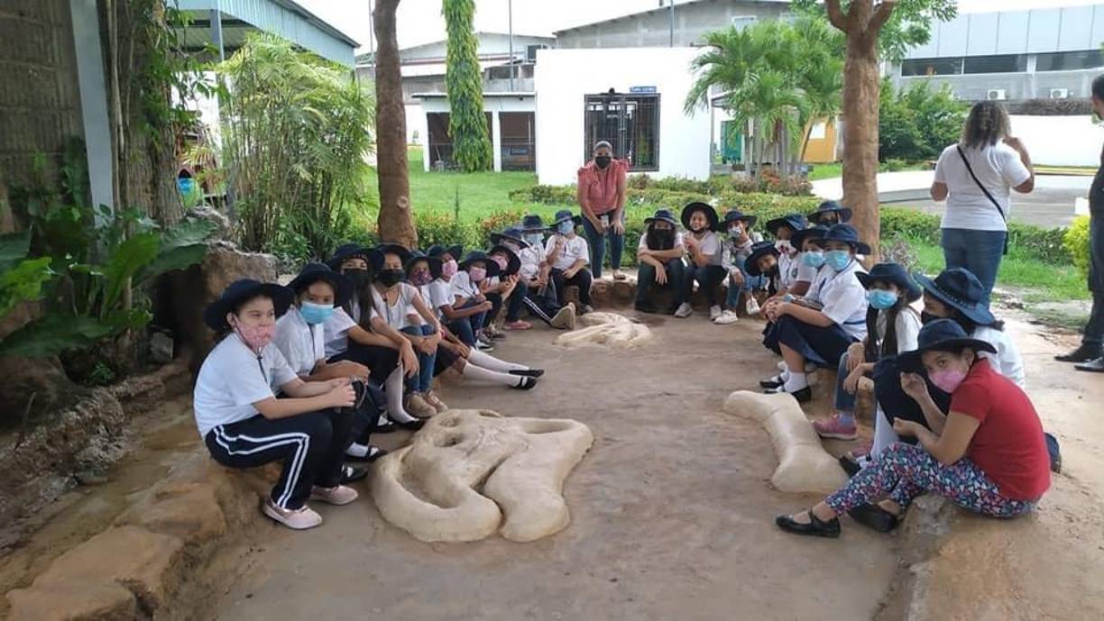 Aventura Jurásica: Una sala ambientada en la era Jurásica donde los visitantes podrán aprender sobre la historia de los dinosaurios y buscar fósiles en el centro de excavación.
