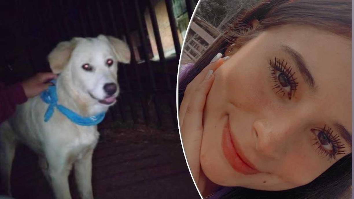 La jovencita de 20 años de edad, estudiante de Derecho, había salido a pasear sus perros.