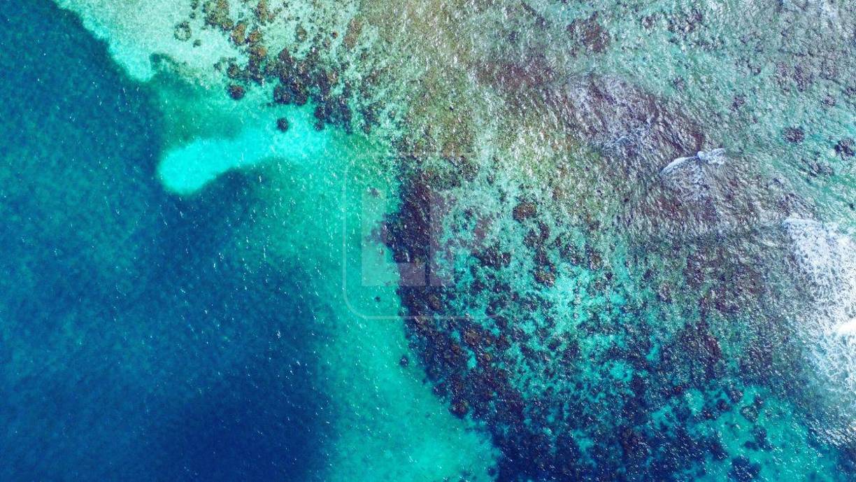 Vista del arrecife en los Cayos Zapotillos. Desde Honduras, el canciller Eduardo Enrique Reina dijo que harán todo a su alcance para defender estos territorios hondureños que constan como tal, en el artículo 10 de la Constitución de la República.