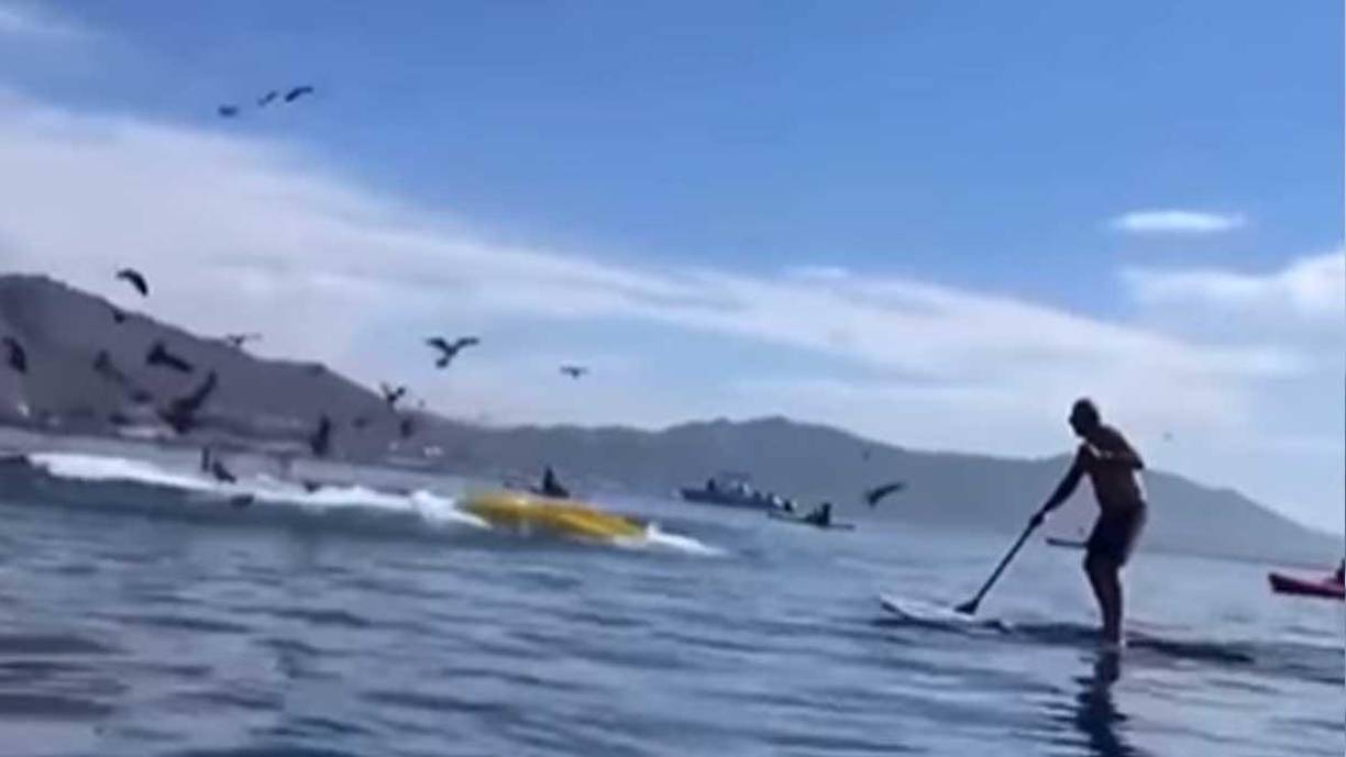 El video que circulan por las redes sociales se hizo viral.