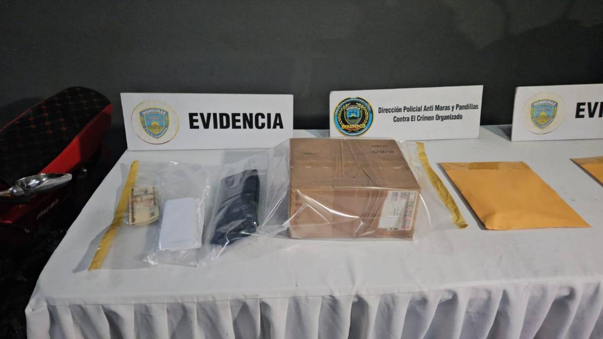 Evidencia recolectada para la acusación. 