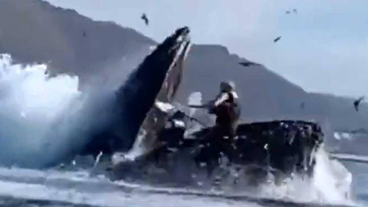 Solamente se llevaron el susto de sus vidas.