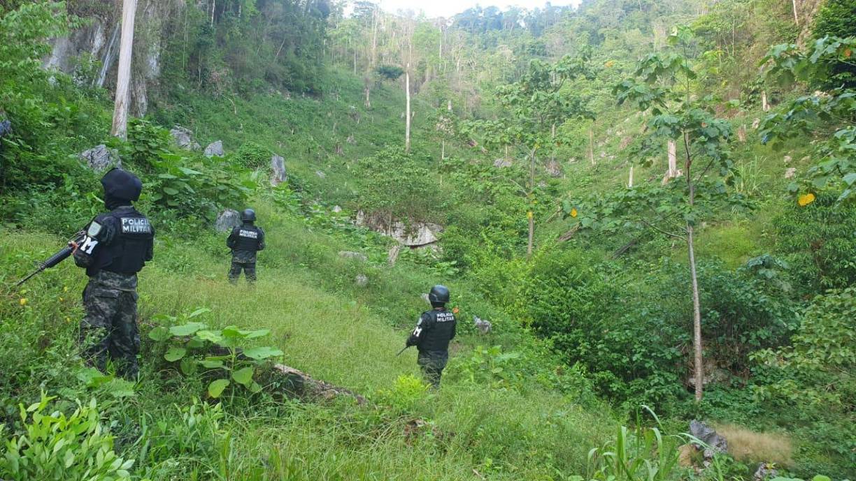 Los arbustos y los precursores fueron localizados en el marco del Plan Nacional de Solución Contra el Crimen aprobado a finales de marzo pasado por el Gobierno para frenar la violencia criminal.