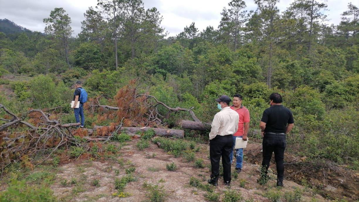 Por supuesta explotación ilegal de recursos naturales, la Fiscalía del Medio Ambiente realiza inspección en El Hatillo, Santa Ana, Francisco Morazán
