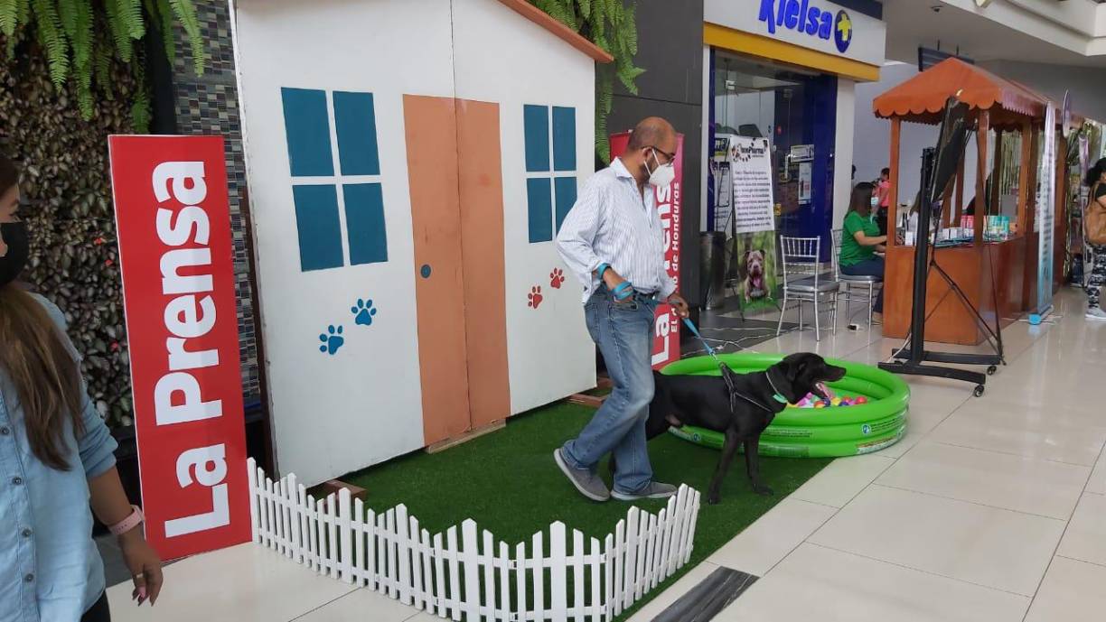 La agenda incluye concursos de desfile de modas, en el cual participan perros y gatos. Se premiará a quien tenga el mejor corte y mejor disfraz.