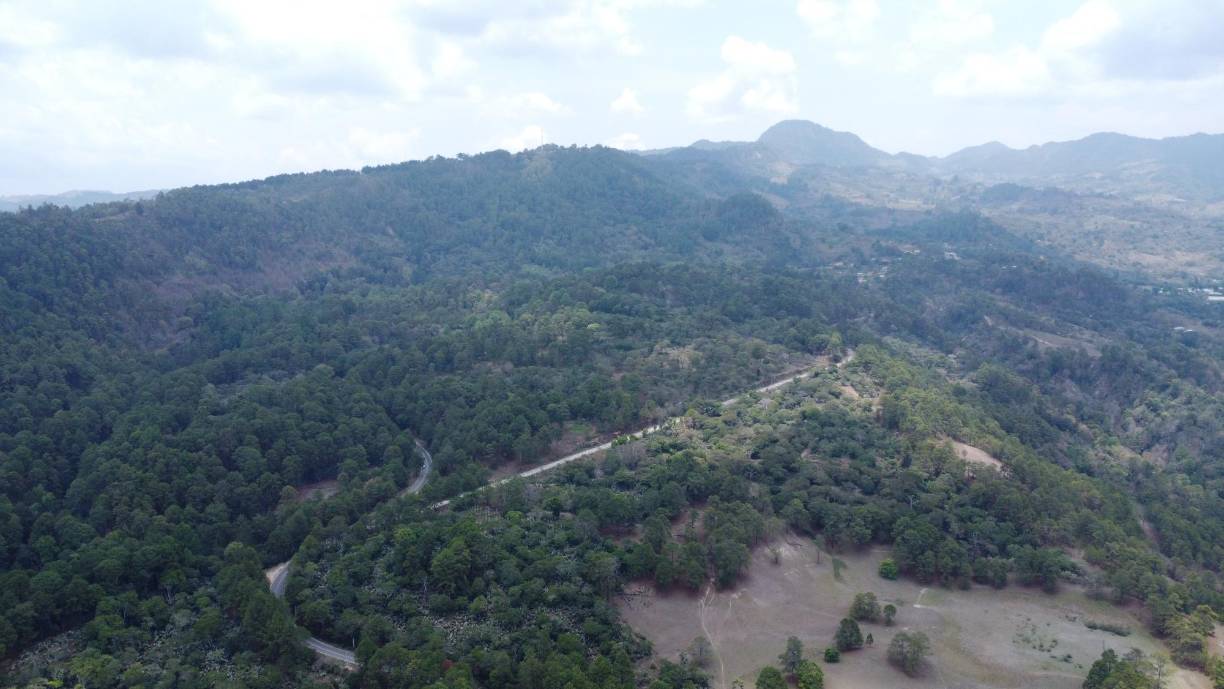 <b>El gobierno de Xiomara Castro ha anunciado la pavimentación de 20 kilómetros para la rehabilitación con concreto hidráulico de la carretera CA-4, tramo: Ocotepeque-El Portillo, con una longitud (20 km). Esta es la vía terrestre más alta en el país con 2,025 metros sobre el nivel del mar.</b>