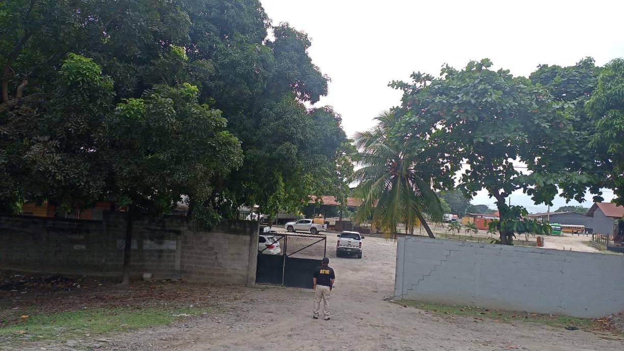 También a Carol Vanessa Alvarado (ex gerente financiera de Casa Presidencial y exjefa de presupuesto de SEDIS), Norman Guillermo Noriega (exdiputado suplente del congresista Marcos Paz Sabillón y hermano de Claudia Yamila Noriega).