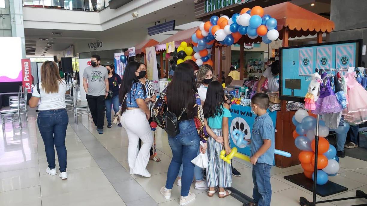 Asimismo, habrá una pasarela durante la cual la Fundación Amor y Abrigo mostrará los gatitos y perritos que tiene para adopción.