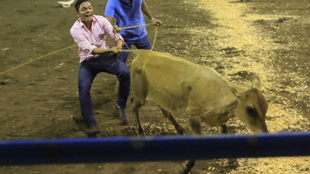 ¡Feria Juniana! Sampedranos se entretienen en el Campo Agas