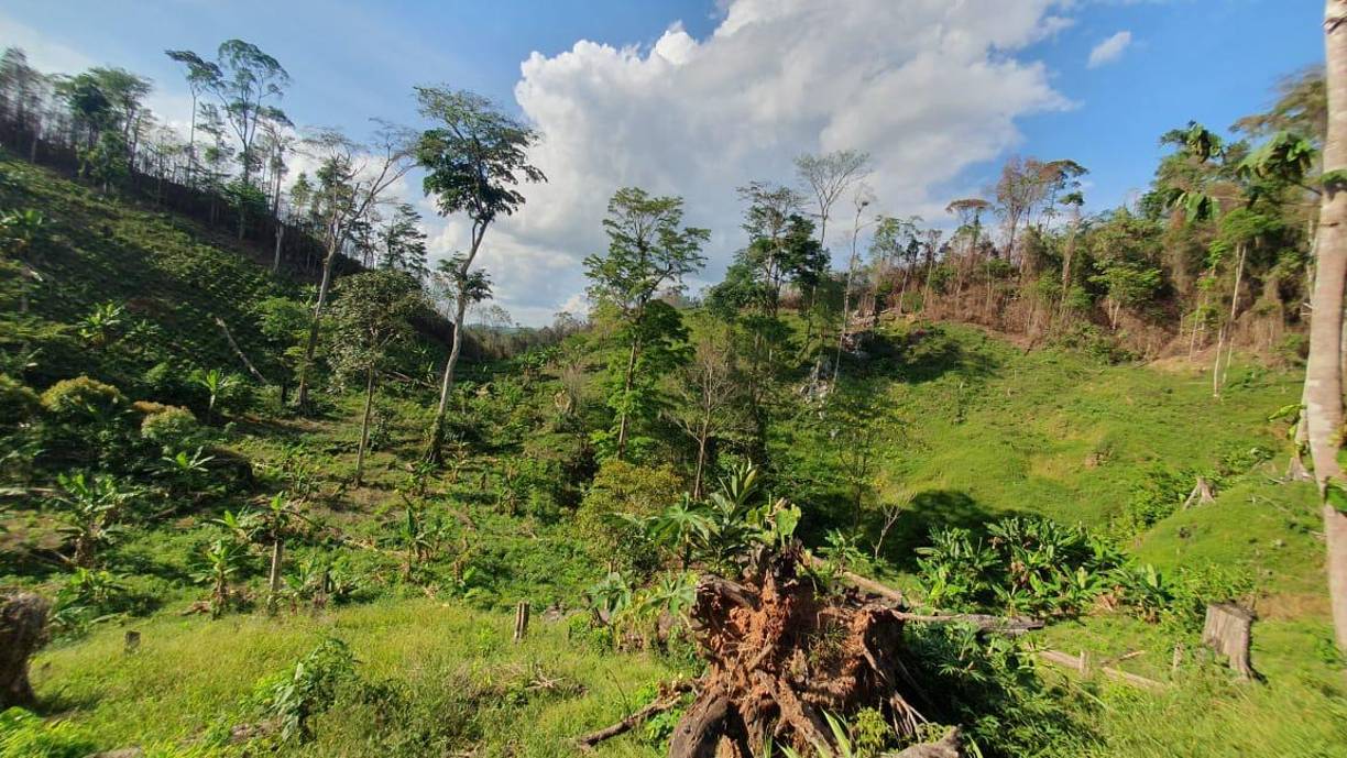 Honduras, principalmente el Caribe, es utilizado por grupos de traficantes de drogas suramericanos que envían drogas por vía aérea, marítima y terrestre a Estados Unidos.