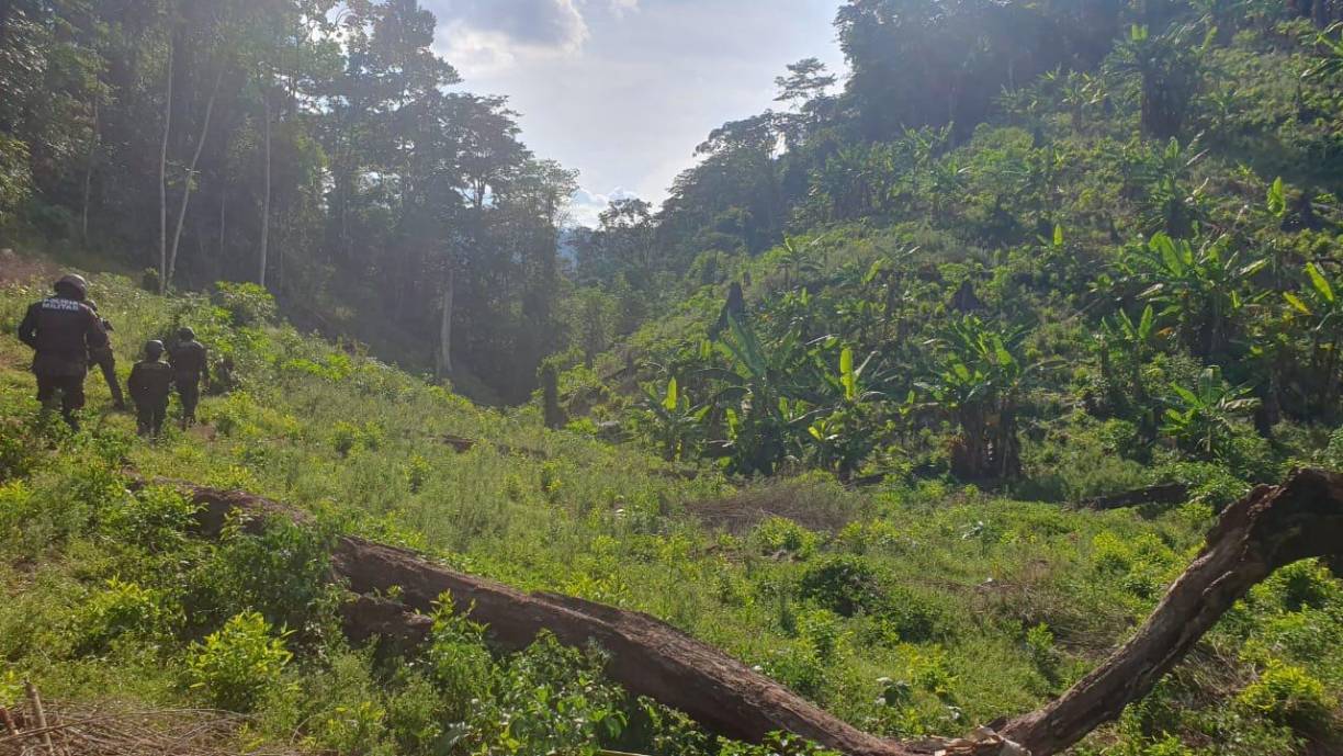 La violencia causada por el narcotráfico y el crimen organizado es uno de los principales problemas que enfrenta Honduras, que registra a diario una media de entre diez y trece homicidios.