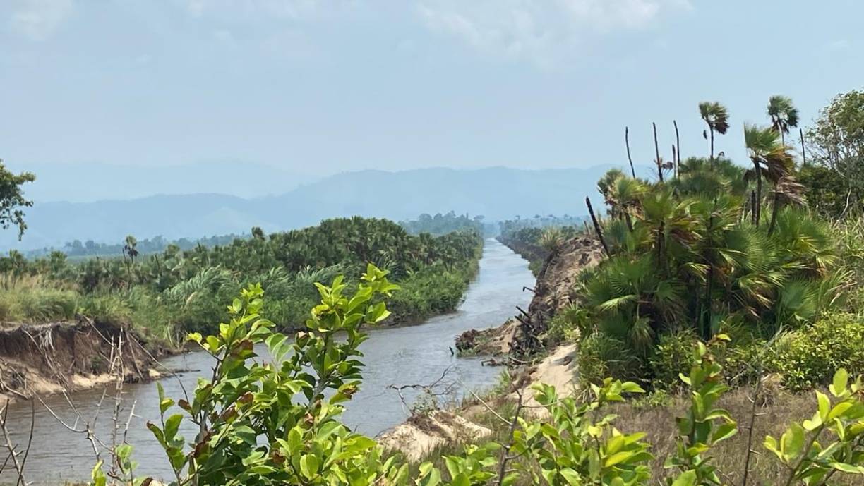 Según las investigaciones, los cargamentos de droga venían desde el mar y llegaban a una vivienda de concreto, en aldea Planes de Flores en Limón. 