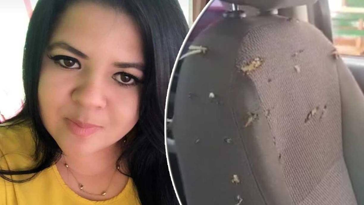 Saúl Jiménez, padre de la doctora en química y farmacia, contó entre el llanto que su hija se trasladaba a su trabajo y fue interceptada por los criminales, que le arrebataron la vida. “Yo estaba hablando con mi hija por celular, oí los disparos y me la mataron, escuché cuando el cipote le decía: tranquila, tía, tranquila”, dijo el angustiado padre.