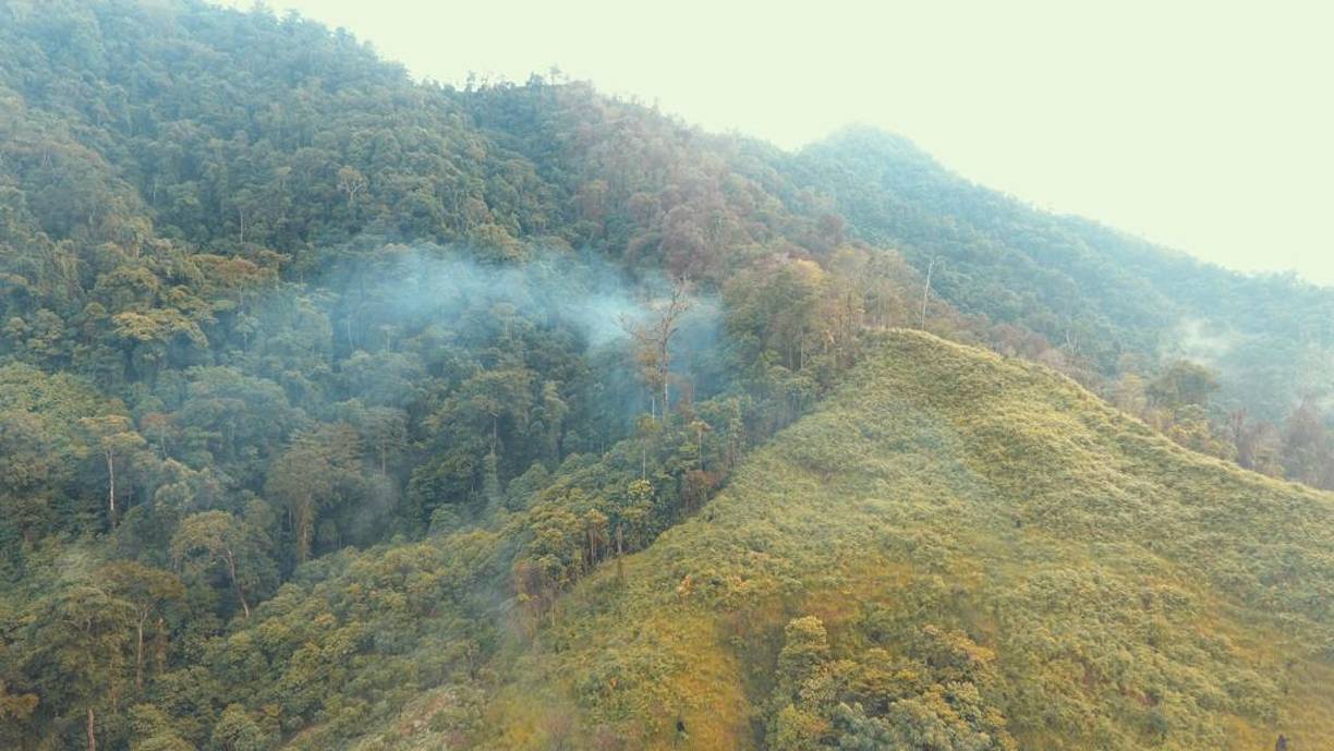 El otro sembradillo, que está en la misma zona, corresponde a unas 14 manzanas de tierra, en este predio; además de las plantas ya en cosecha se identificó un vivero con plántulas, listas para transportarlas.