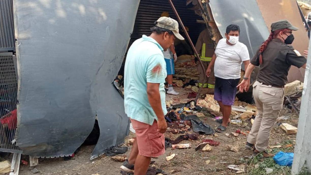 Las personas indocumentadas viajaban hacinadas en el interior de la caja del camión, cuyo chofer habría perdido el control debido al exceso de velocidad, detallaron las autoridades locales.