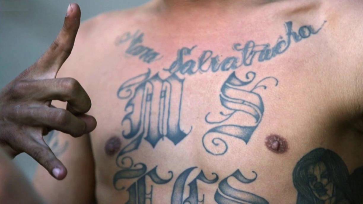 Según las investigaciones realizadas por un grupo de élite de la SSC, se descubrió que José Wilfredo Ayala Alcántara ingresó de manera ilegal a México y se ocultaba en la colonia Buenavista de la alcaldía Cuauhtémoc.