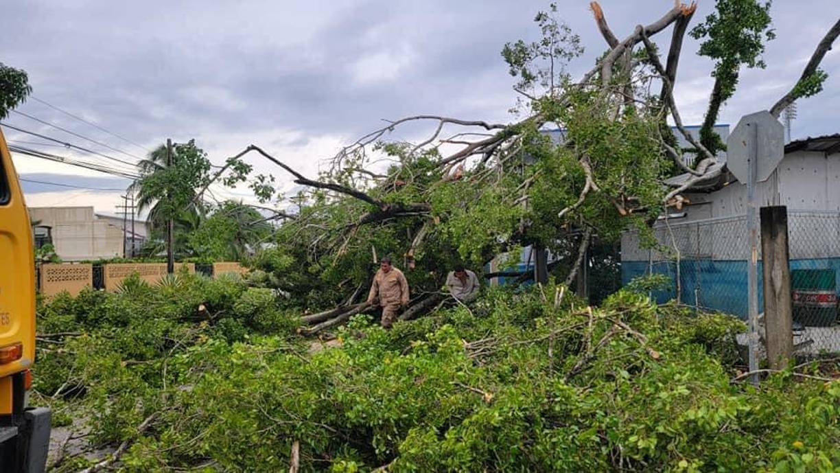 Miembros del Cuerpo de Bomberos realizaron trabajados de remoción de escombros. 