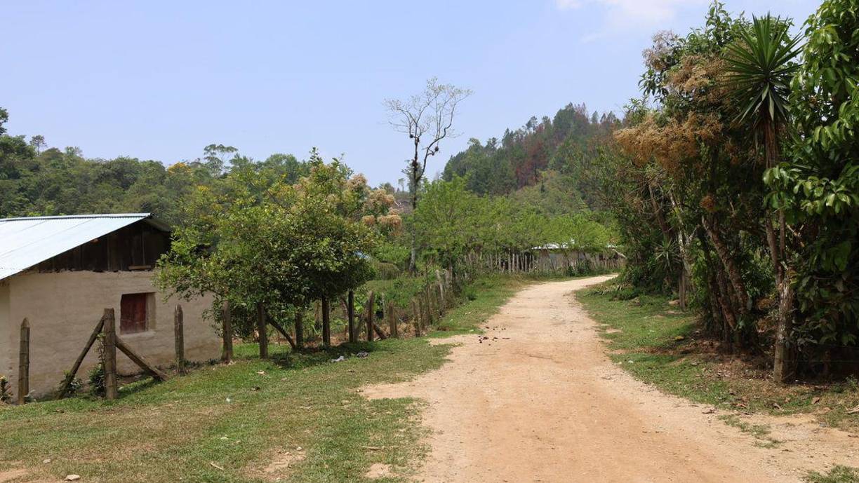 La dolida madre expresó que su hijo se dedicaba a la agricultura y nunca había sido víctima de amenazas, además, solicitó justicia a las autoridades. “Que se investigue porque, ‘puchica’, eso es una injusticia”, rogó.