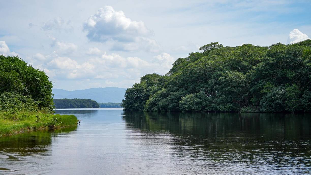”Tela nos ha llamado la atención para la apertura y arribo de nuevos cruceros y cruceristas, Tela ofrece una oferta turística interesante, muy grande, es un atractivo que debe ser conocido por más turistas en el mundo”, destacó Castro, quien agradeció el respaldo del gobierno para impulsar esta iniciativa.