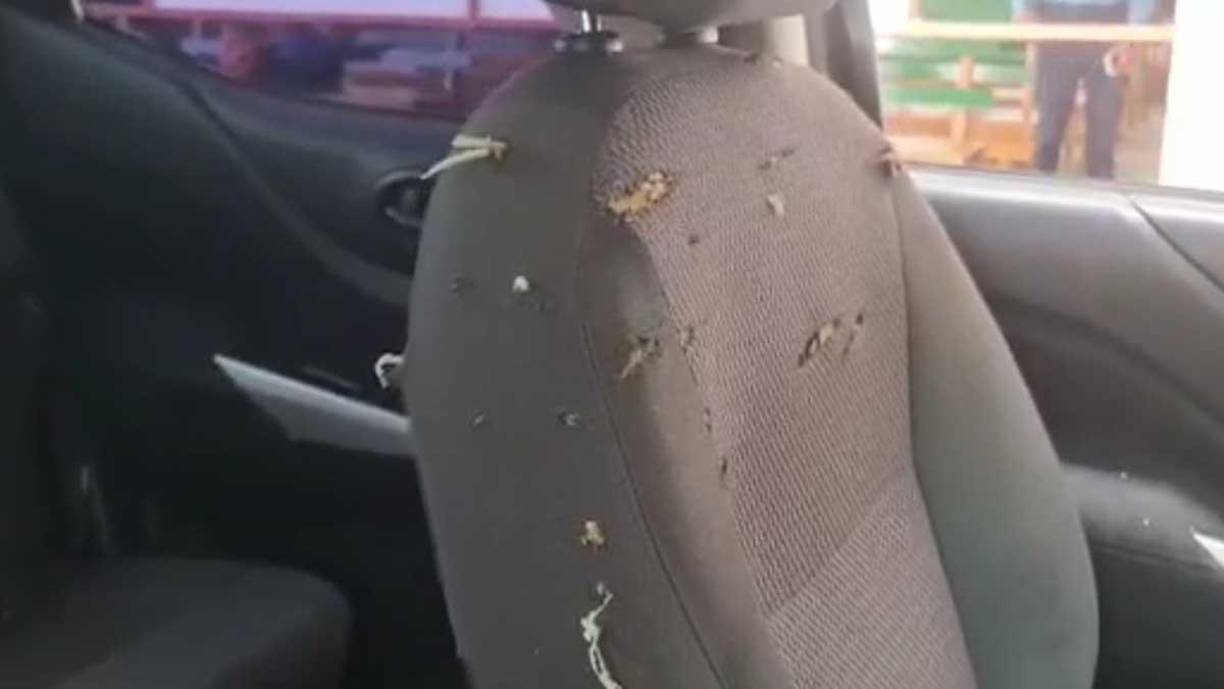 El vehículo tenía más de 20 perforaciones de bala.