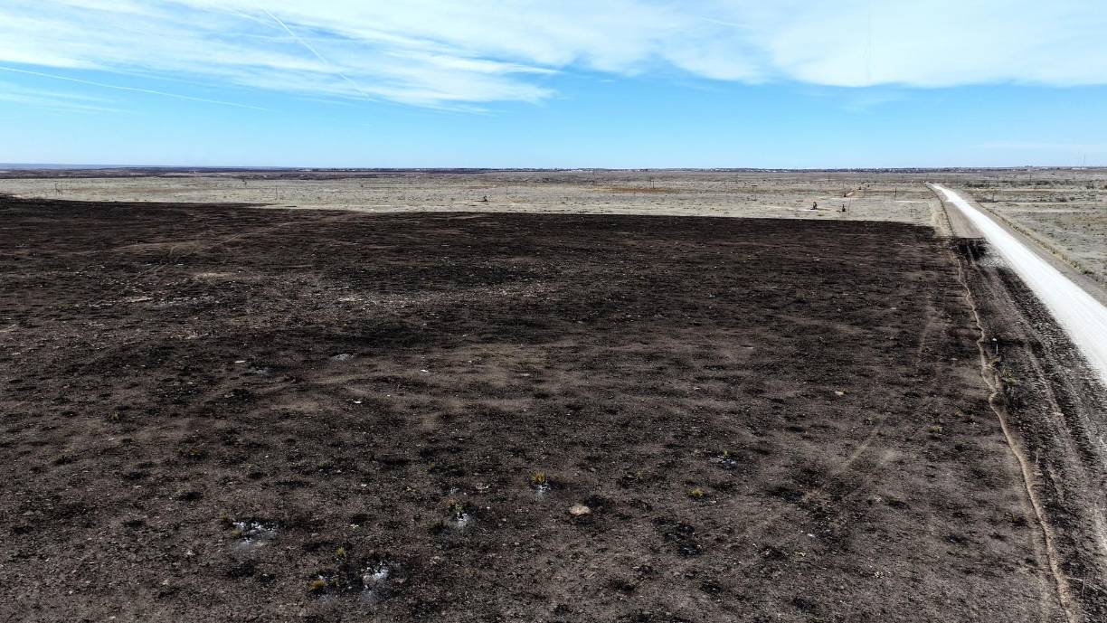 Las temperaturas están más altas que lo normal en este mes invernal, los bajos índices de humedad y los vientos fuertes contribuyeron desde la semana en la propagación de las llamas, pero el Servicio Meteorológico Nacional (NWS) indicó que un frente frío este lunes aliviará las condiciones.
