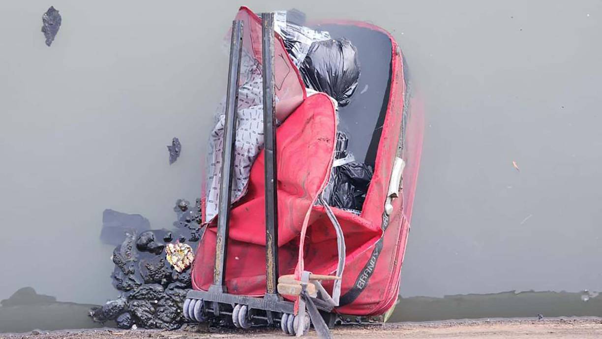 Las primeras investigaciones indican que los cortes en el cuerpo de Pérez Algaba fueron realizados por un profesional. 