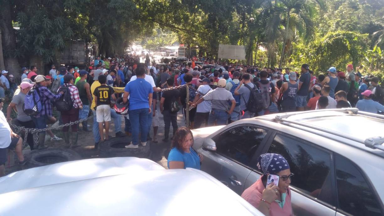 Trabajadores de la Corporación Dinant protestan este sábado en Arizona, Atlántida, exigiendo a las autoridades el desalojo de invasores de fincas de palma africana en el Bajo Aguán. 