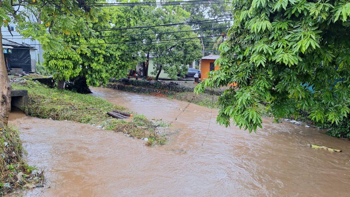 Añade que son posibles condiciones de huracán dentro del área de vigilancia para el viernes. Se esperan condiciones de tormenta tropical en el área de aviso y es posible que se produzca en el área de vigilancia a partir de hoy más tarde.