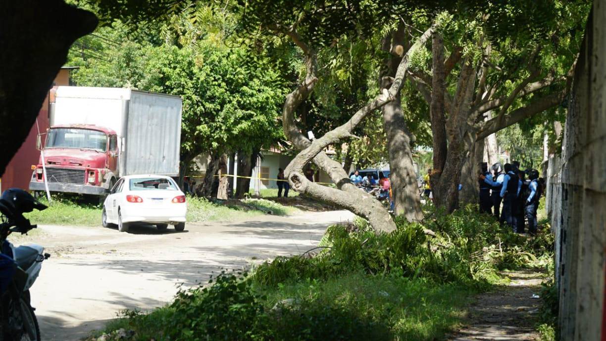 El taxista murió al instante tras ser atacado a balazos, que impactaron en su cabeza y otras partes del cuerpo. Aunque una ambulancia del 911 llegó al sitio minutos después, era tarde. Otro crimen contra transportistas estaba consumado.