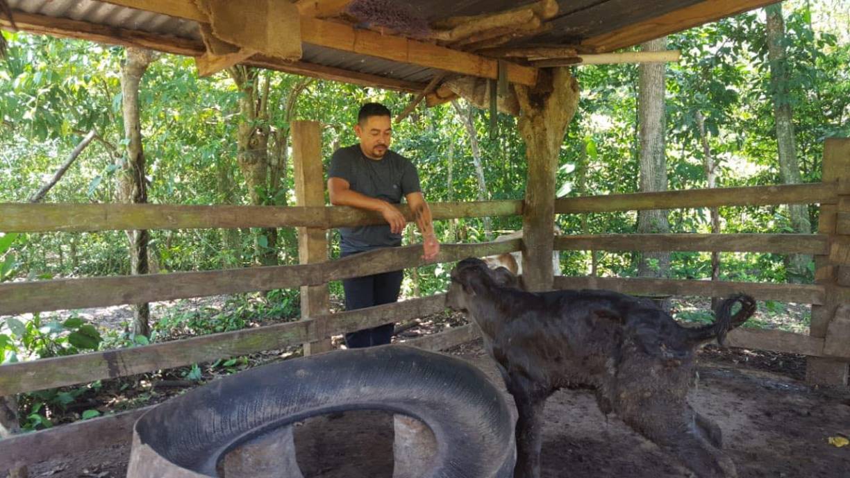 Elmer era ganadero y en sus redes sociales presumía su ganado.