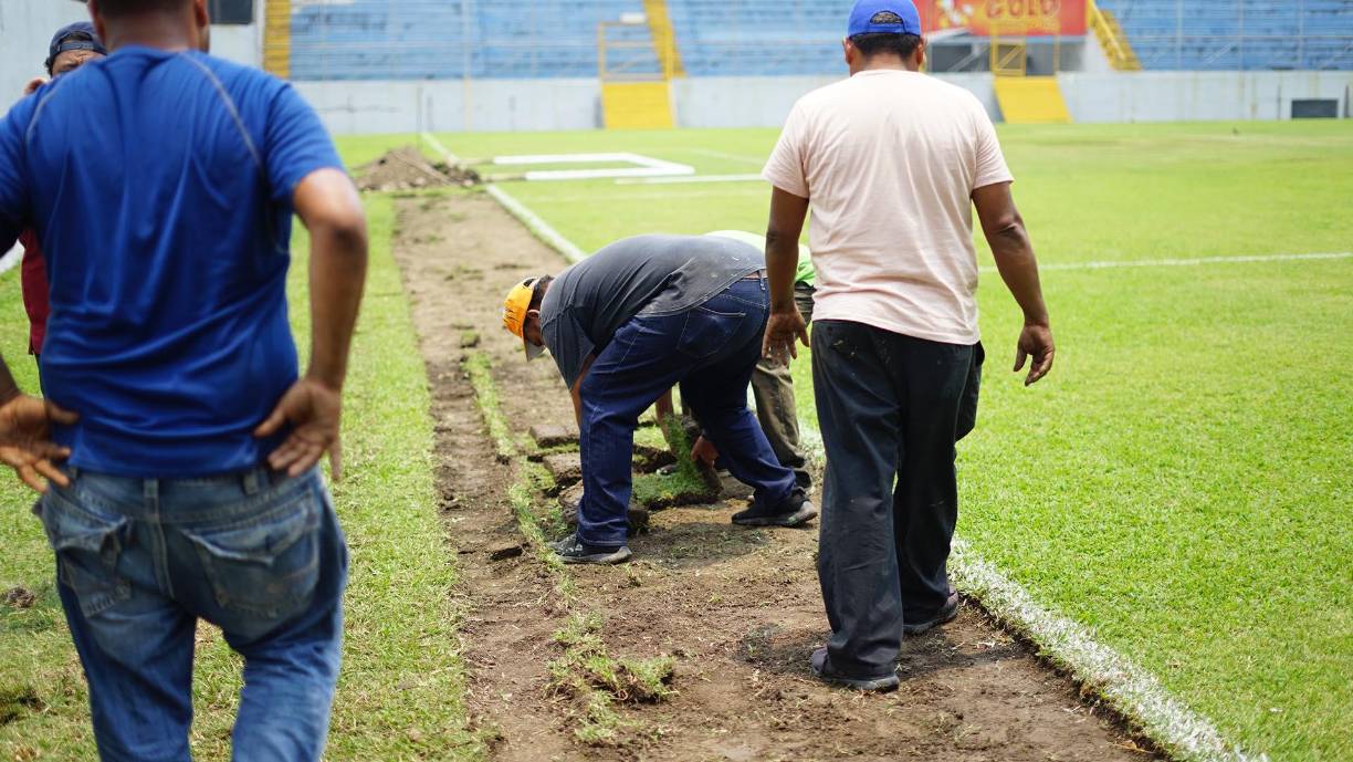 La grama no se está quitando de un golpe, ya que la Gerencia de Deportes planificó colocarla en la cancha ESOFI, donde se juegan las ligas menores en una parte del Estadio Olímpico.