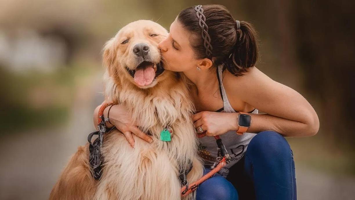 Los perros <b>pueden mostrar un cambio en su comportamiento</b> al notar una enfermedad. Pueden <b>acercarse más, lamerlo o presionarse contra él</b>. Algunos son entrenados para alertar a sus dueños cuando disciernen cambios en su salud, como niveles de glucosa en la sangre.