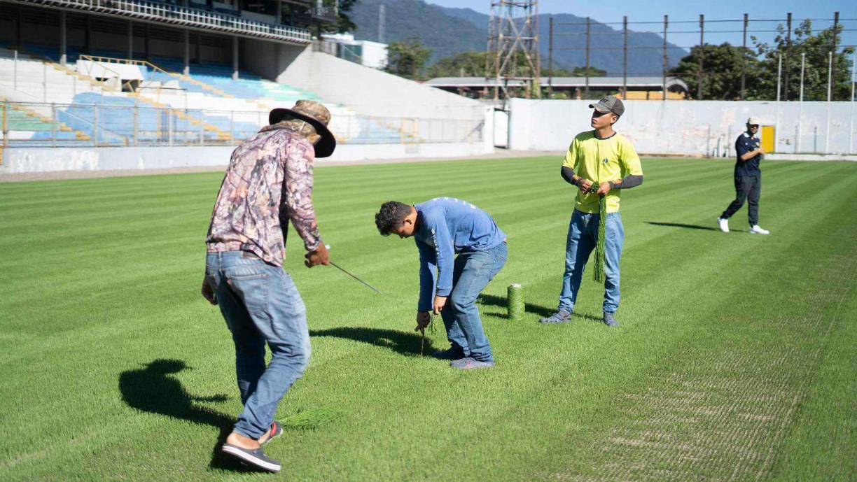 Los encargados del proyecto de la instalación de la nueva grama siguen trabajando a todo vapor con el cocido del engramillado y que es la penúltima fase del proceso.