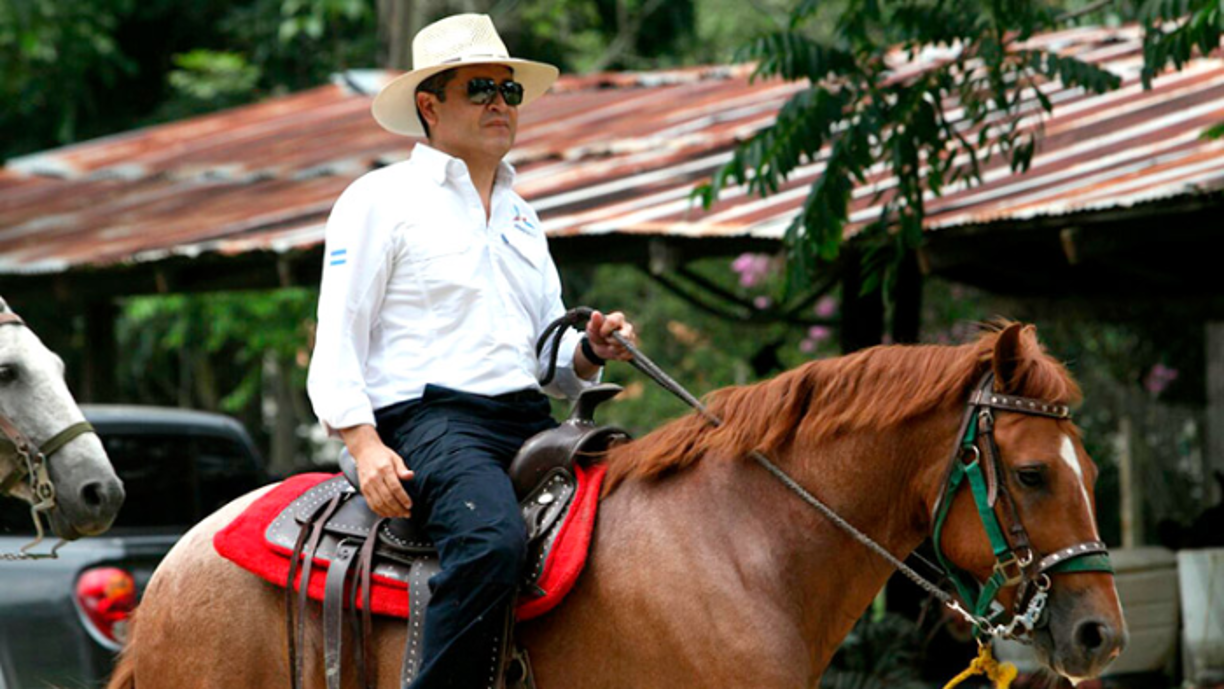 Gonzáles manifestó que se trata de 15 caballos que fueron decomisados el pasado 1 de abril de 2022 en Francisco Morazán, Lempira y Olancho.