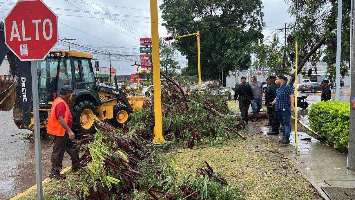 Alrededor de 1,797 personas fueron afectadas y nueve comunidades incomunicadas en Gracias a Dios, Colón, Islas de la Bahía y Yoro por la tormenta Sara. 
