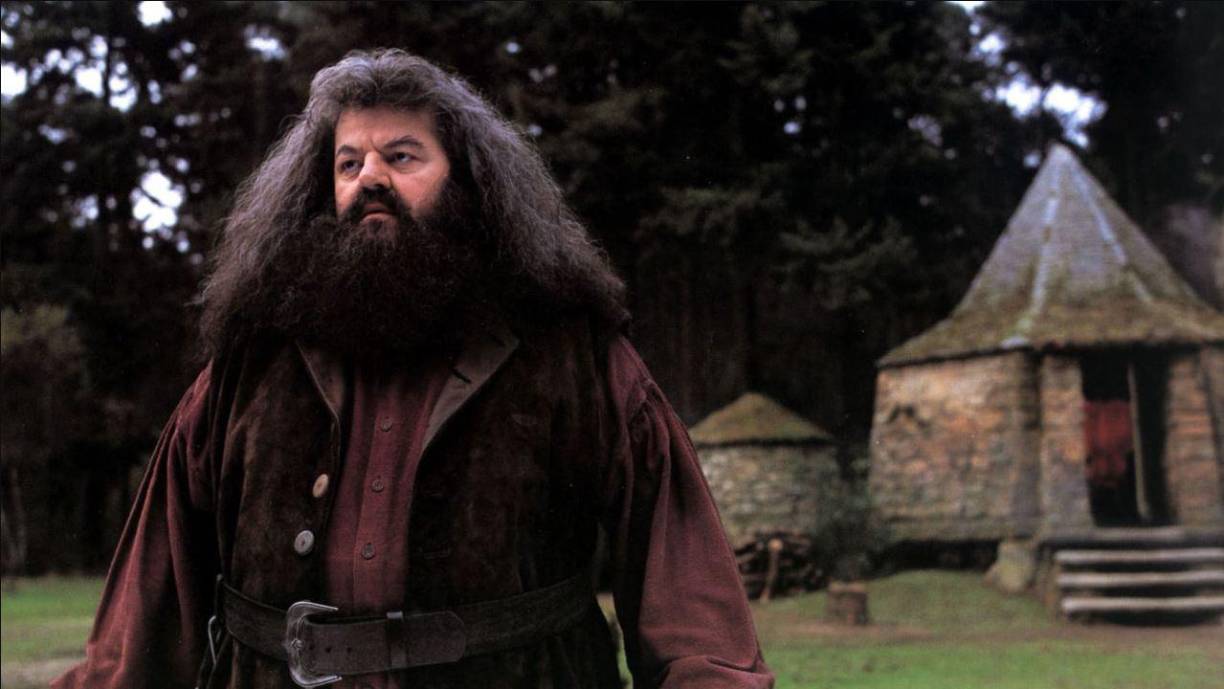 “Se le recordará probablemente durante décadas como Hagrid, de las películas de Harry Poter, un papel que con el que transmitió alegría tanto a niños como adultos de todo el mundo”, por el que “recibía un aluvión de cartas de admiradores cada semana” desde hacía más de veinte años”, agregó su representante, Belinda Wright.
