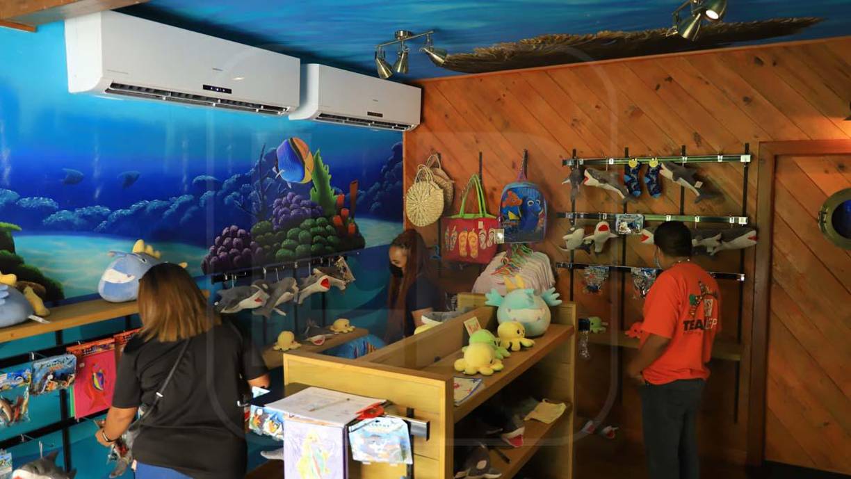 En alianza con Tela Marine Research estos investigadores permanecerán en la zona alrededor de dos y tres meses para realizar trabajo de campo. Por lo general realizan visitas cada año, los de maestrías dos y los de posgrado cuatro, hasta completar su investigación.