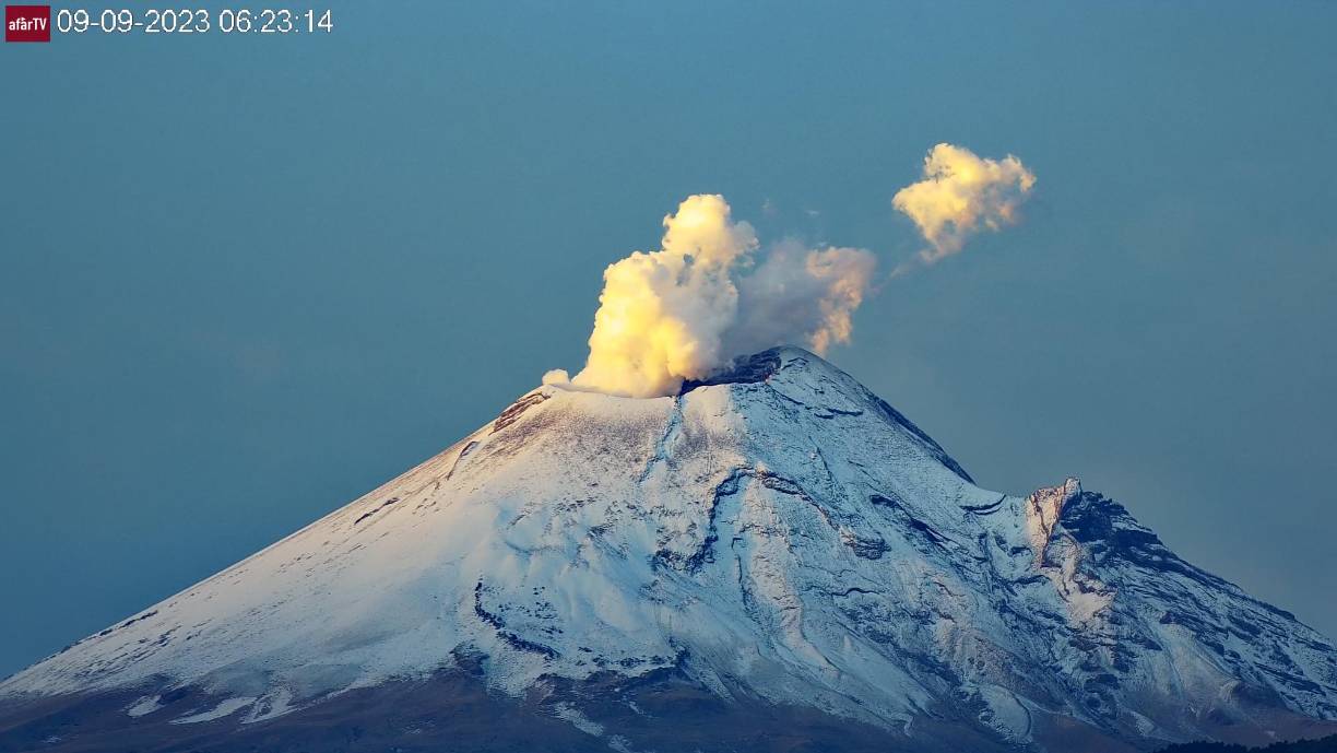 Durante la entrevista, Maussan también reveló que alguien le llevó un extraterrestre y que tiene fotos para comprobarlo, pero aseguró que aún tiene a este ser.