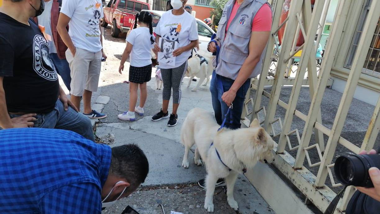 Más de un año transcurrió para que un juzgado de letras de lo penal de Tegucigalpa diera una resolución final sobre el caso. 