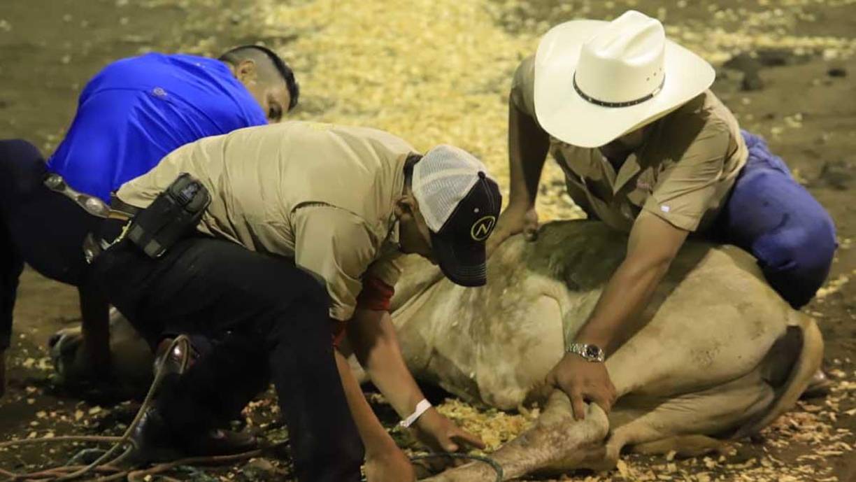 ¡Feria Juniana! Sampedranos se entretienen en el Campo Agas