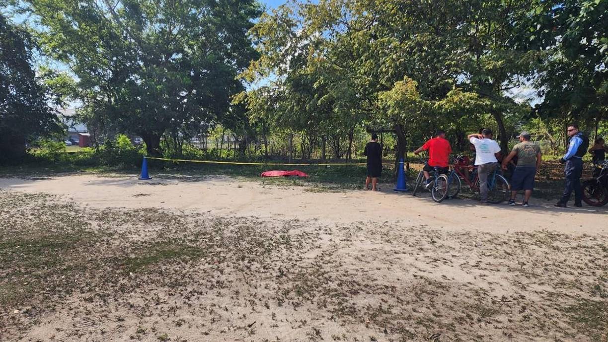 El cadáver yacía justo a la orilla de un campo de fútbol de la localidad en mención, por lo que se desconoce si fue raptado en otro sector y lo llevaron ahí para matarlo o si lo atacaron cuando transitaba por ahí.