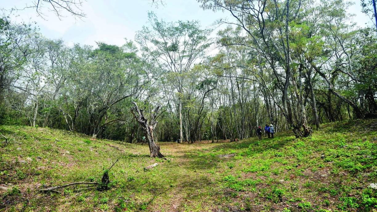 En el valle de Sula se han encontrado más de 400 sitios arqueológicos, y la mayoría están en propiedades privadas. Currusté en San Pedro Sula, el sitio arqueológico Cerro Palenque, ubicado en la aldea Santiago, en Pimienta en donde se han sido identificado 575 estructuras así como el parque Los Naranjos son de los más conocidos. La gran mayoría no han sido explorados, pero sí documentados y registrados.