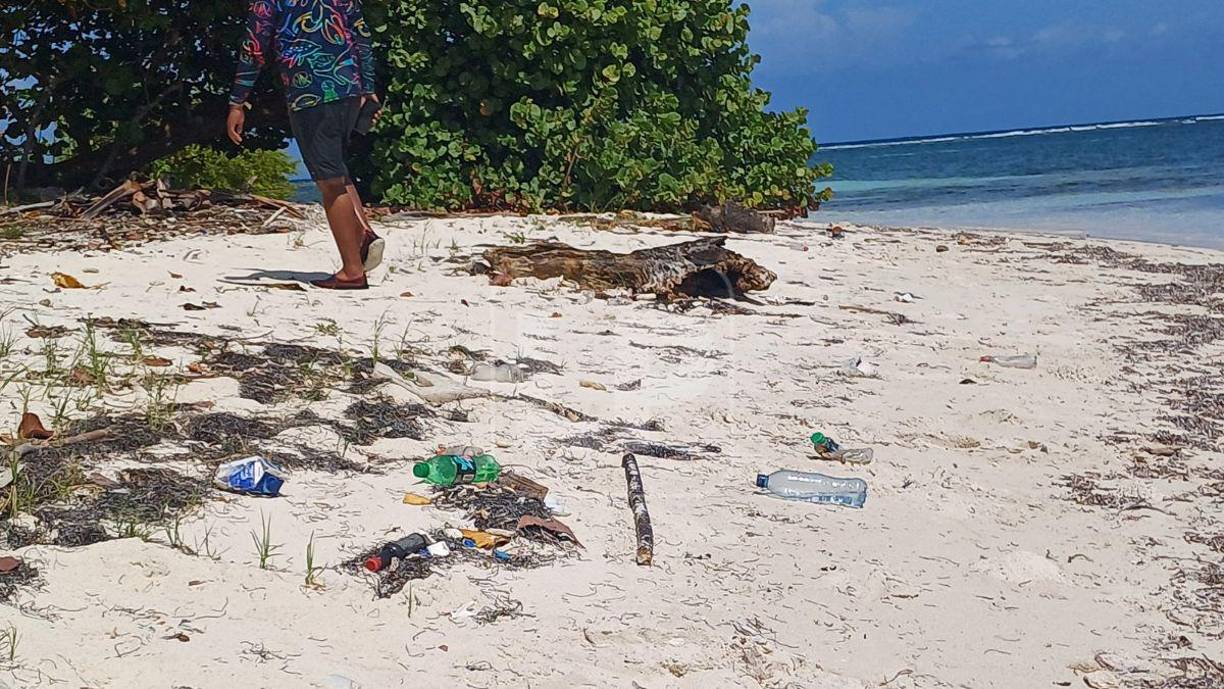 Aunque los cayos están muy alejados de Belice y de Honduras, la basura les llega de todos lados. En la ruta en lancha desde Omoa, pudimos apreciar enormes islas de basura flotando a la deriva en el golfo de Honduras. Estos desechos, normalmente plásticos, terminan inevitablemente en los Cayos Zapotillos.