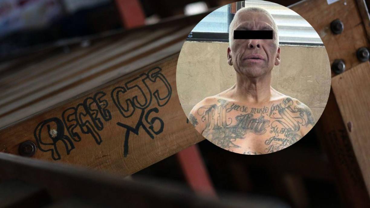 José Wilfredo Ayala Alcántara, también conocido como “El Indio de Hollywood”, es un individuo de 55 años de edad considerado un peligroso asesino múltiple. Las autoridades estadounidenses lo han estado buscando y actualmente tiene una orden de arresto activa en el estado de Texas por cargos federales.